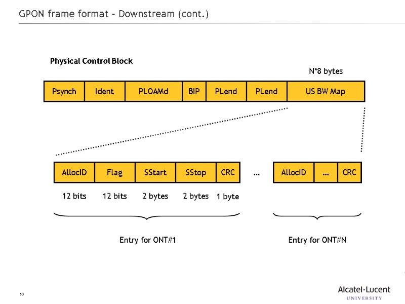 50 GPON frame format – Downstream (cont.) Psynch Ident PLOAMd BIP PLend PLend US